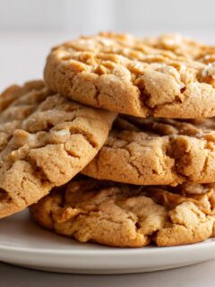 Healthy Peanut Butter Greek Yogurt Cookies